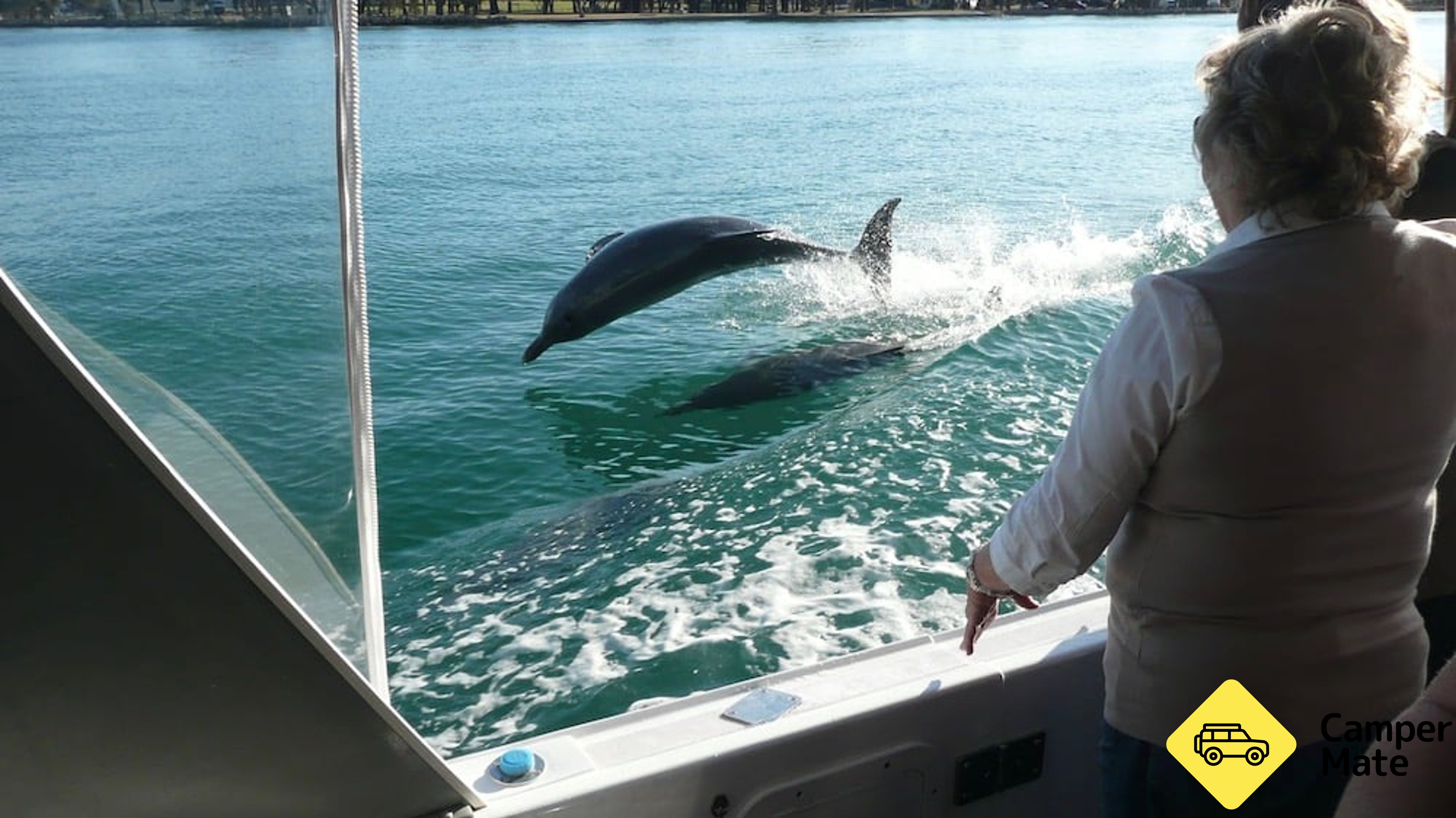 Murray River Scenic Cruise