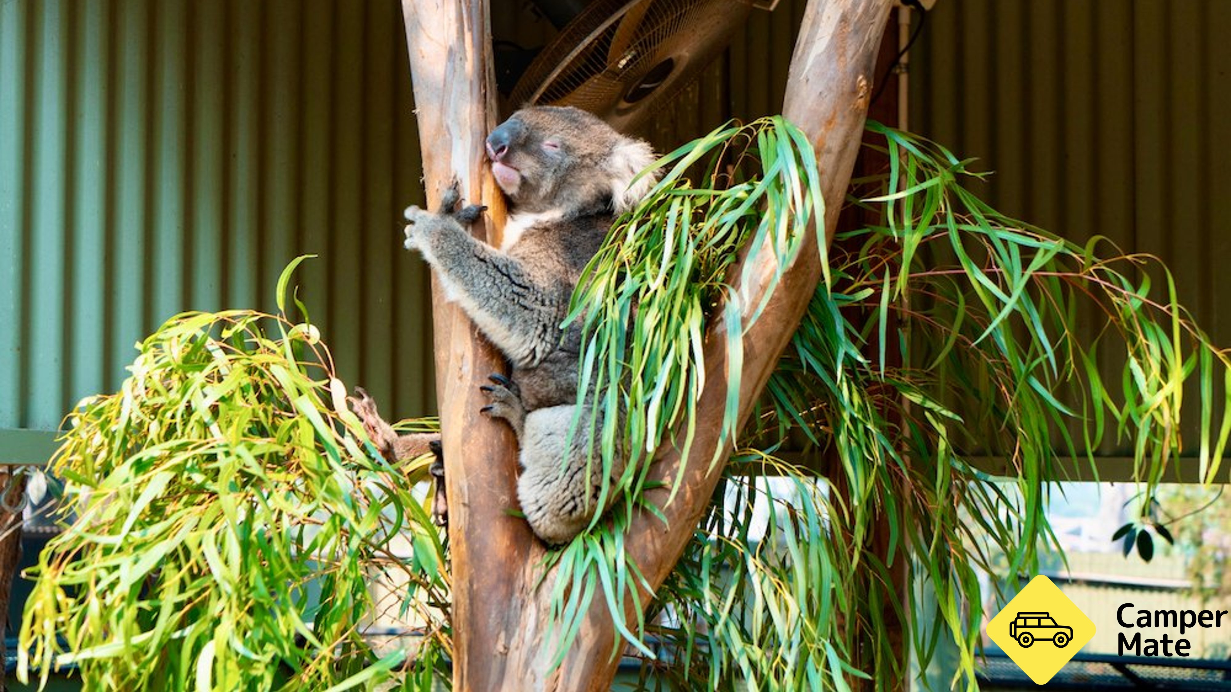 Featherdale Sydney Wildlife Park