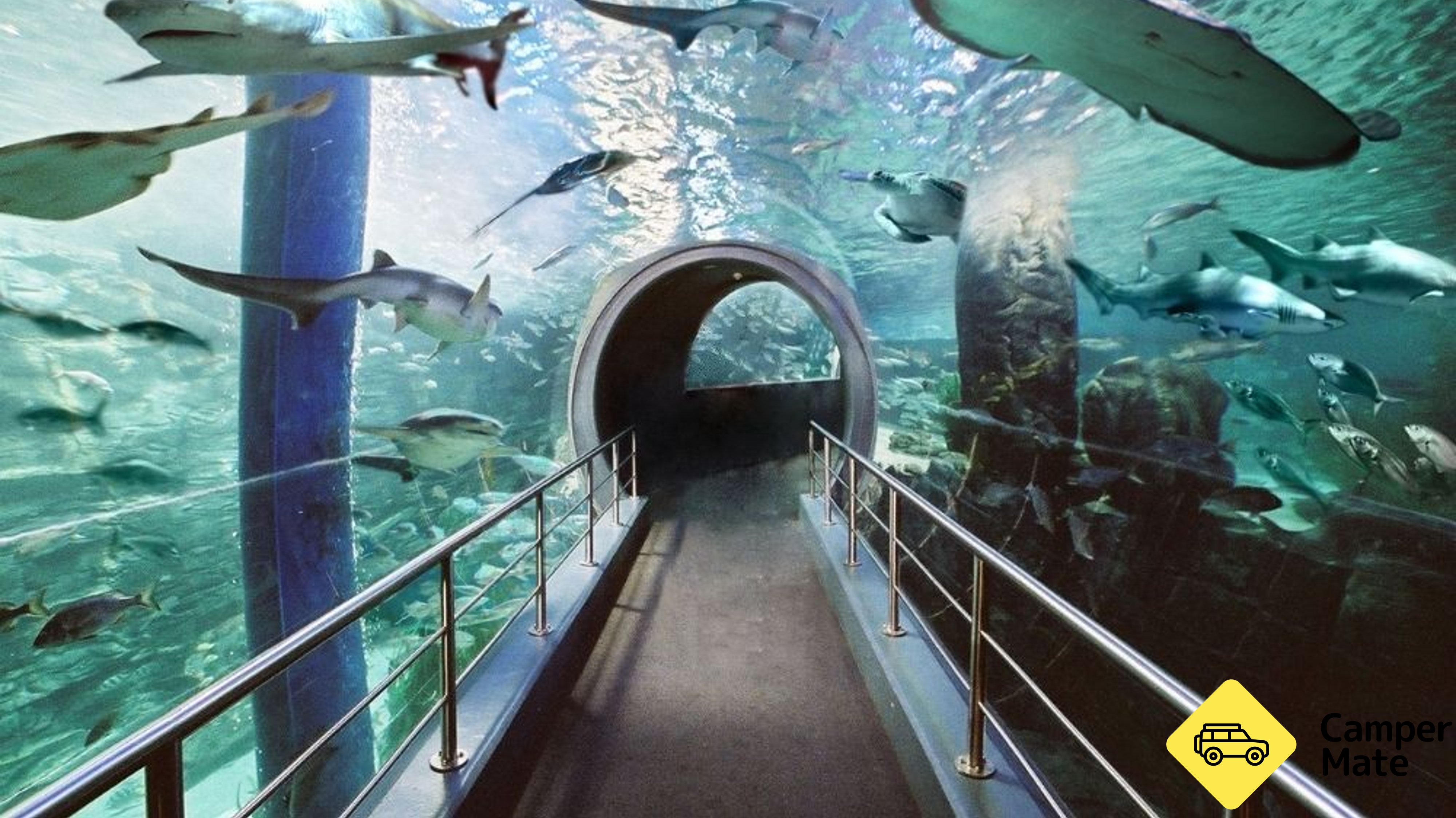 SEA LIFE Melbourne Aquarium