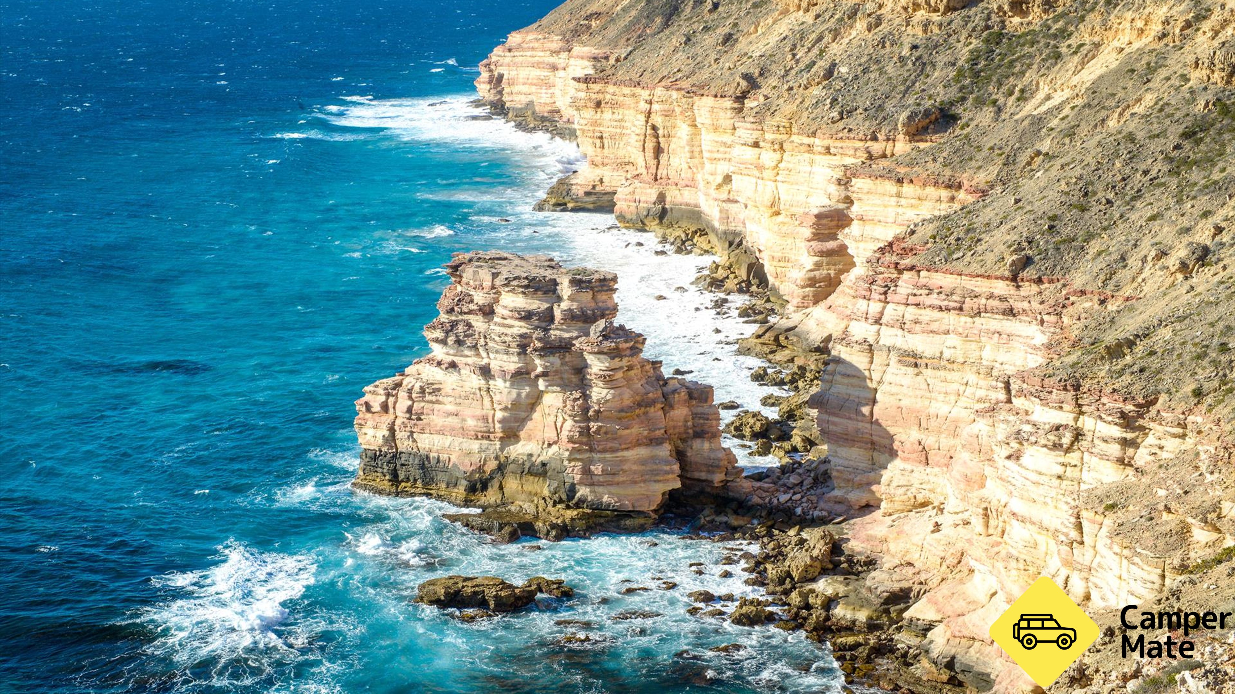 Blue Tongue Photo Tours