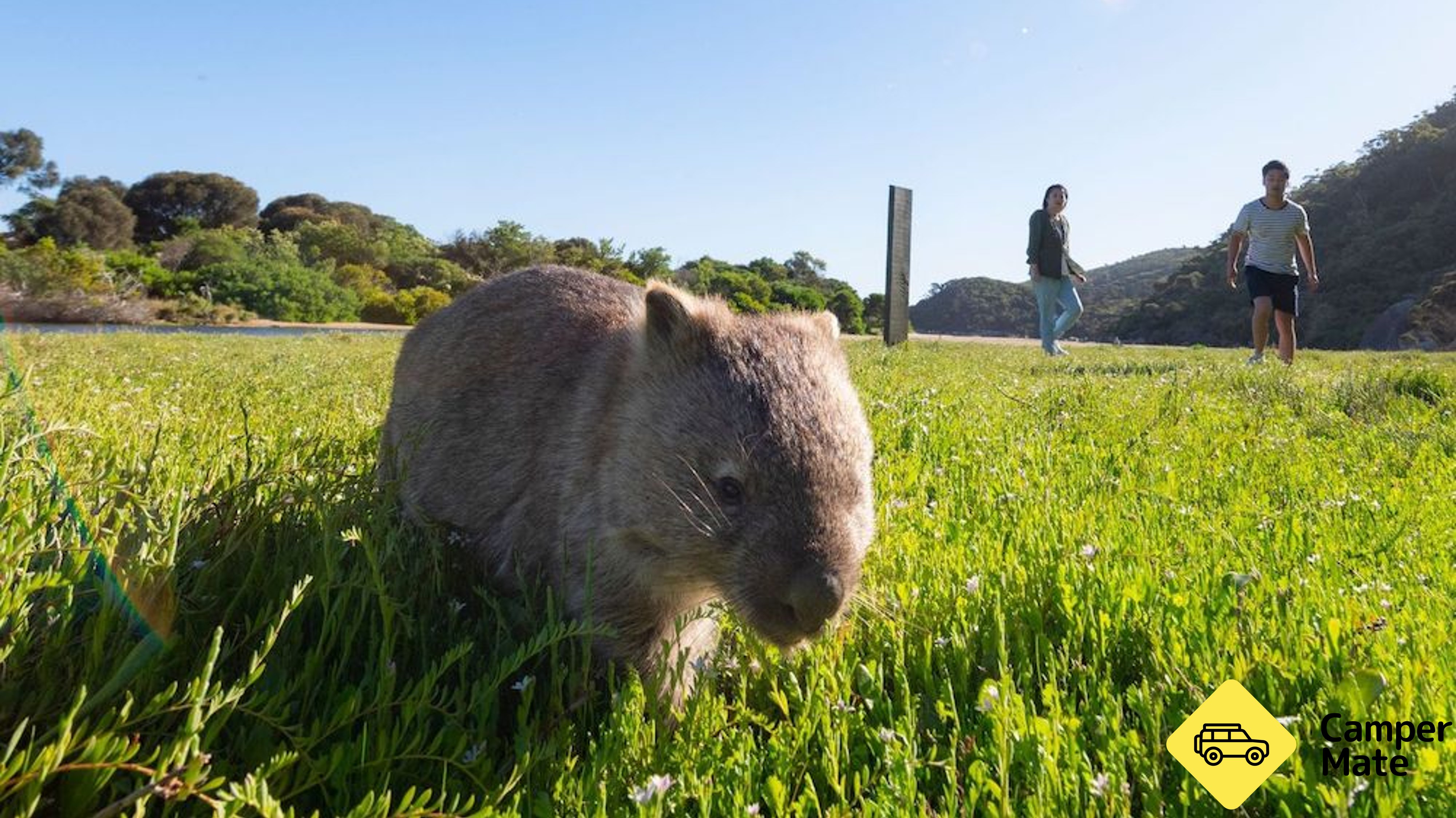 Wilsons Promontory Day Tour