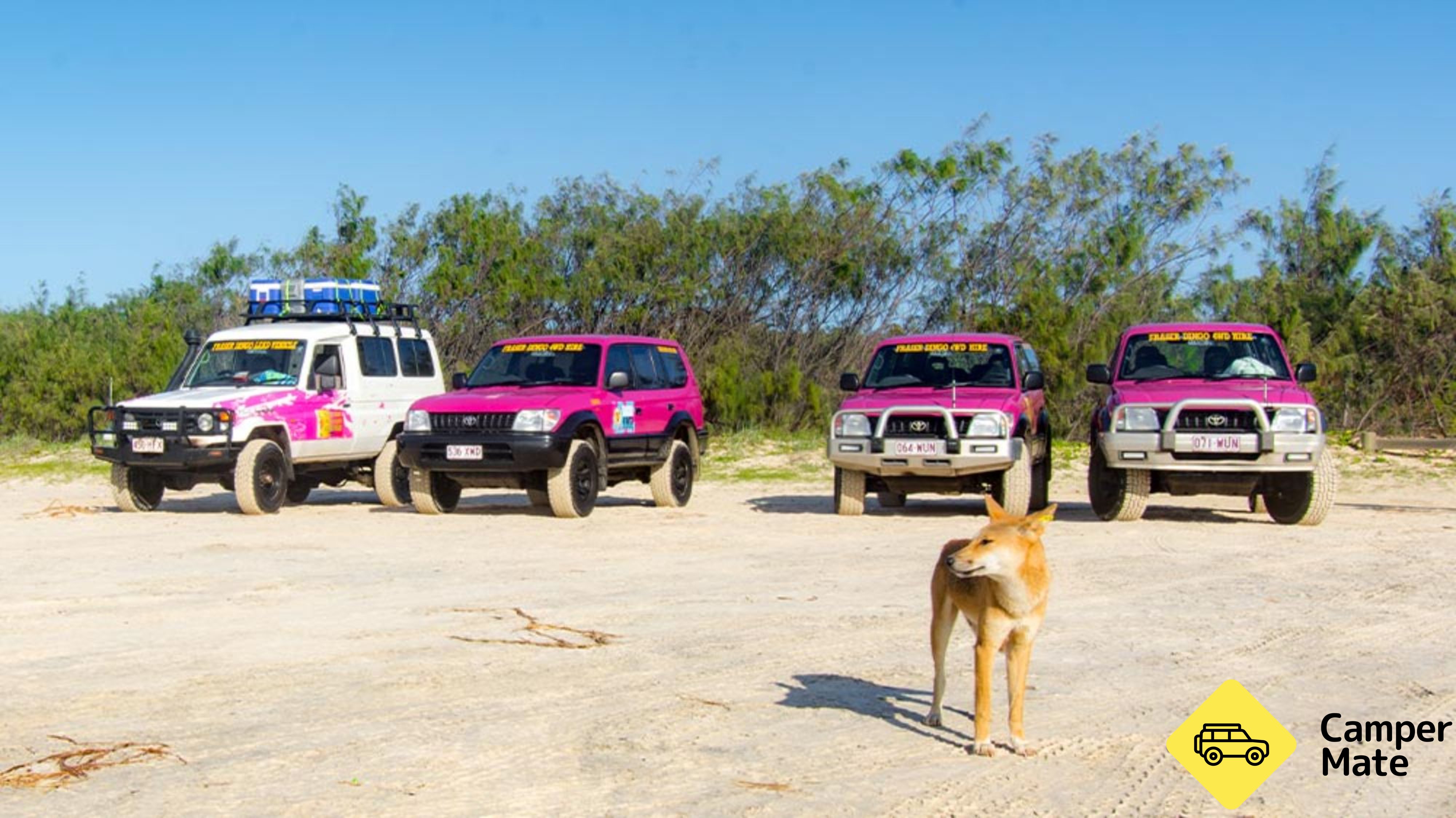 Fraser Island 4WD Adventures