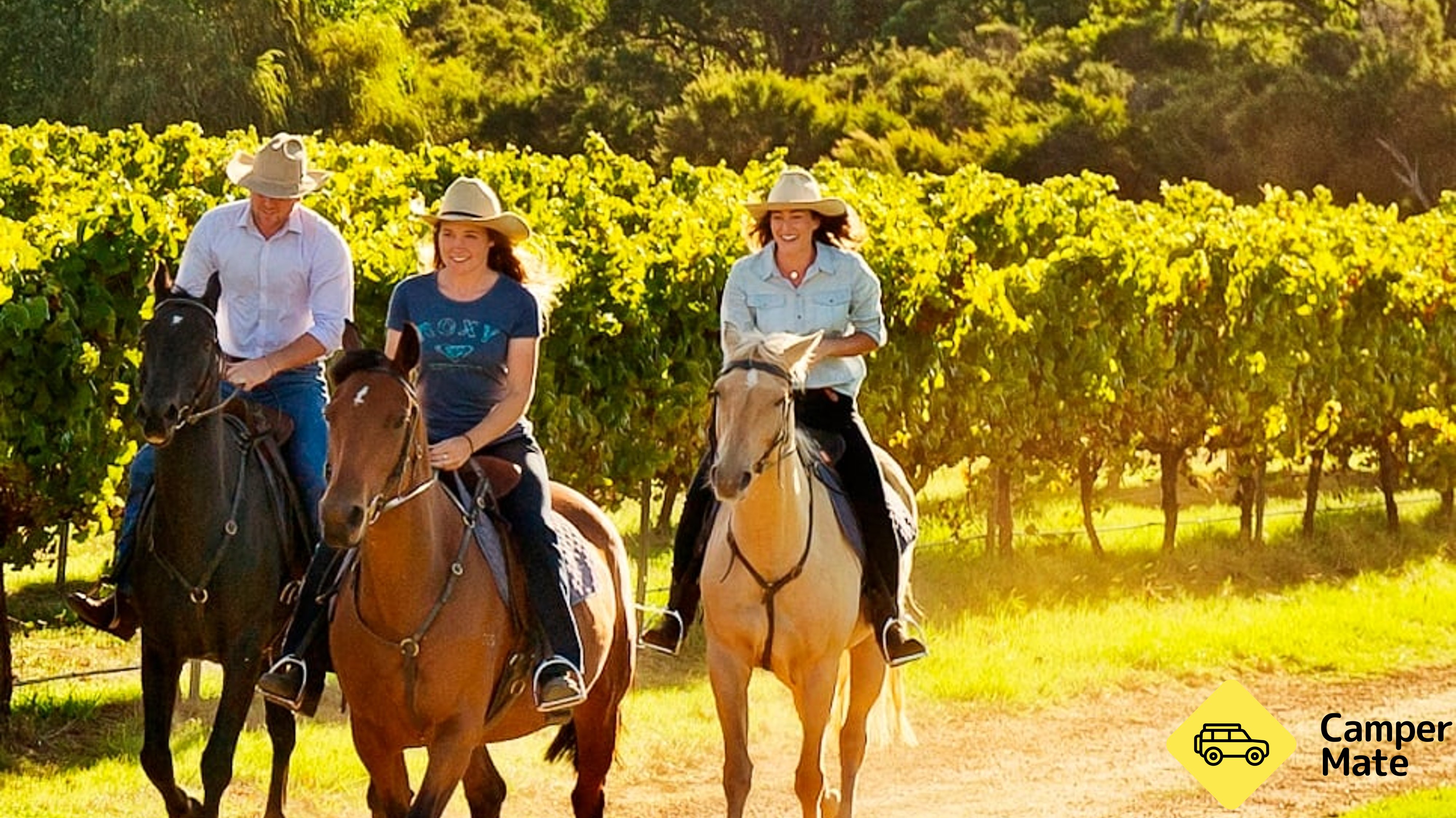 Jesters Flat Horse Rising Country Lane Tour