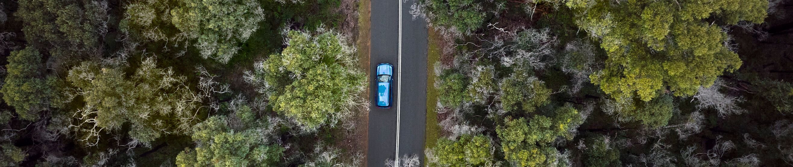 Margaret River and the South West